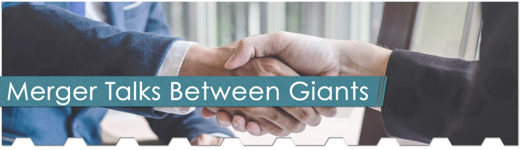 Brenntag and Univar Hint at Merger Plans 1 Merger talks bt giants - The Chemical Company